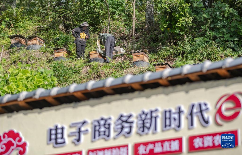 万发国际38848